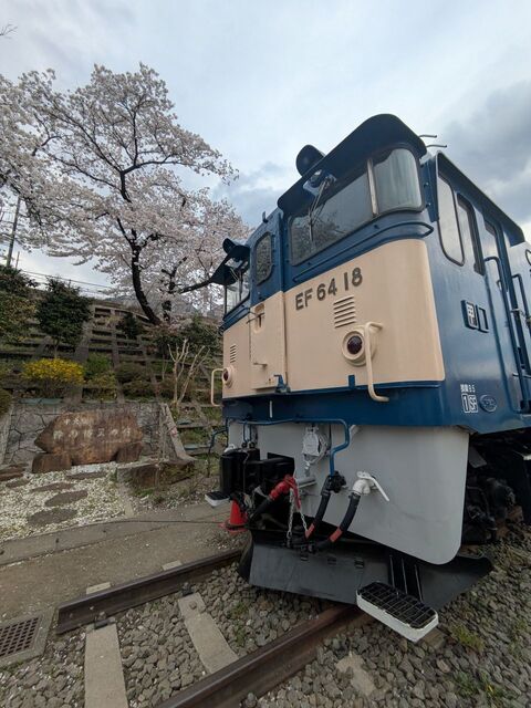 勝沼甚六桜